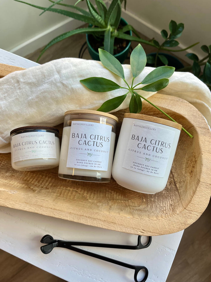 Luxury coconut soy candles, three white jars labeled BAJA CITRUS CACTUS