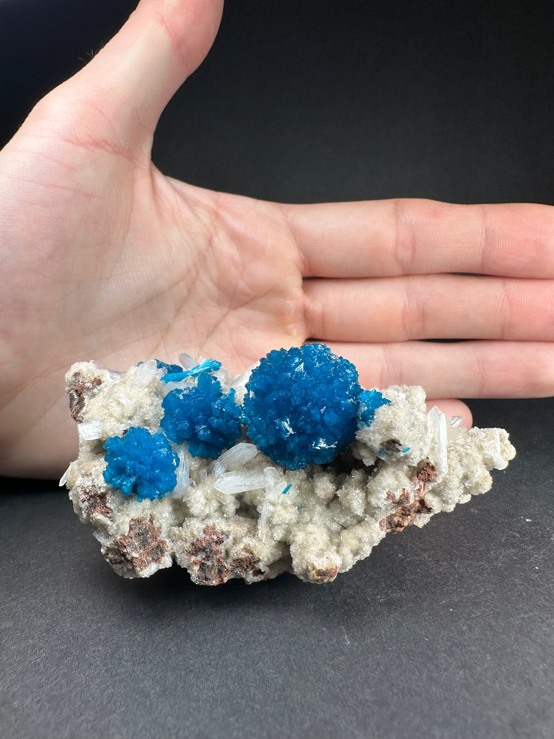 Cavansite and stilbite mineral specimen held in hand, bright blue crystal clusters