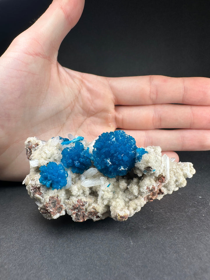Cavansite and stilbite mineral specimen held in hand, bright blue crystal clusters