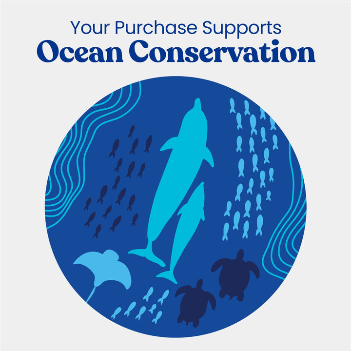 Ocean Conservation support graphic with dolphin, turtles, and fish illustration in blue