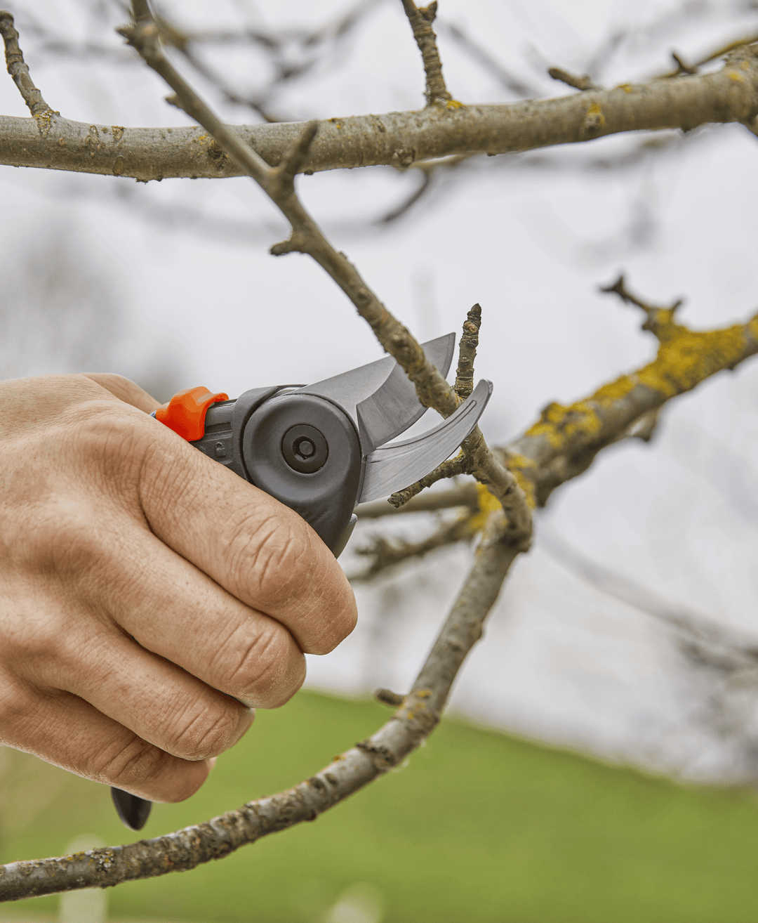 Hand holding black pruning secateurs cutting a thin branch