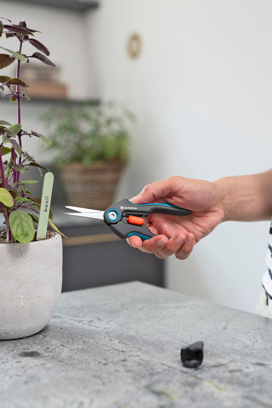 FreshCut Scissors with teal handles and orange latch cutting stems.