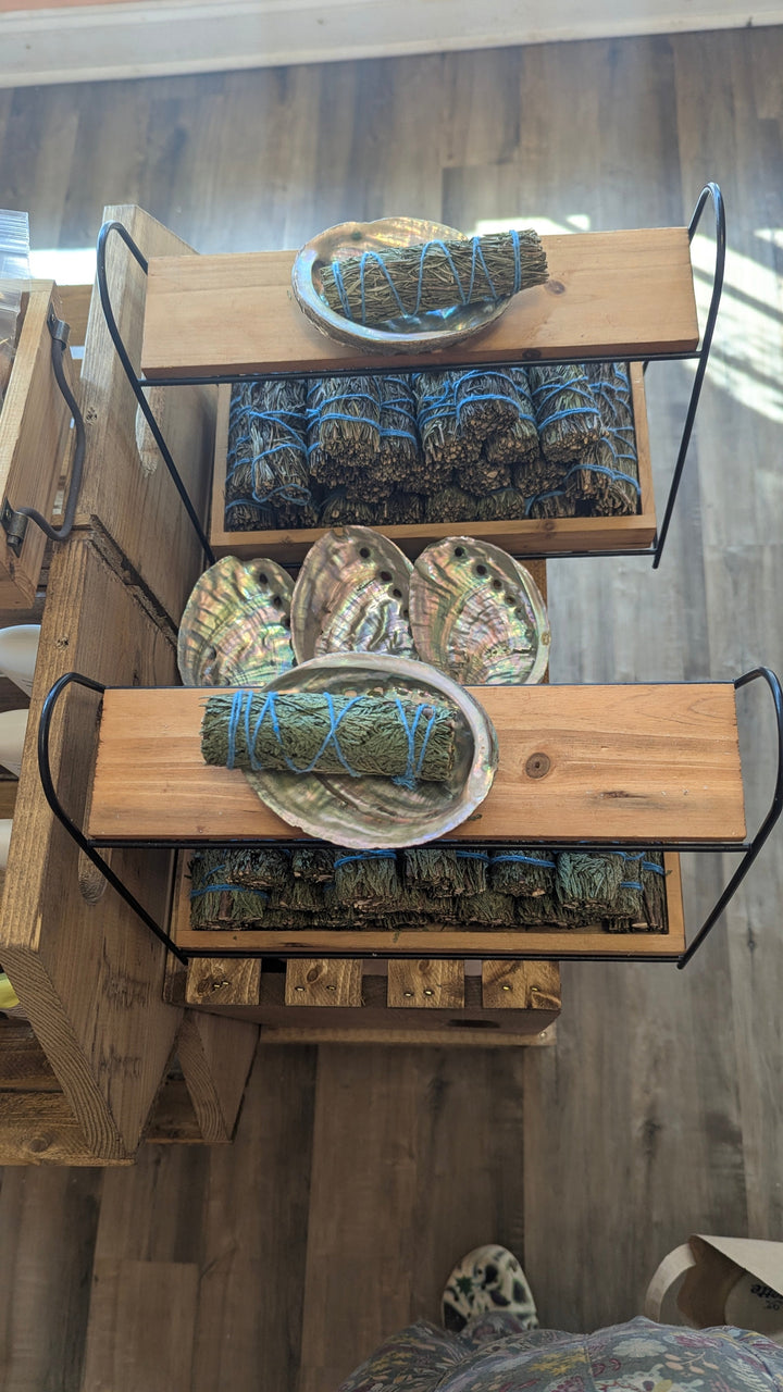 Abalone shell dish set featuring multiple round iridescent mother-of-pearl pieces