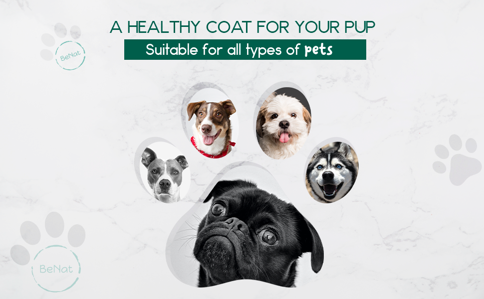 All-natural pet shampoo bar oat suitable for all pets graphic with dog faces