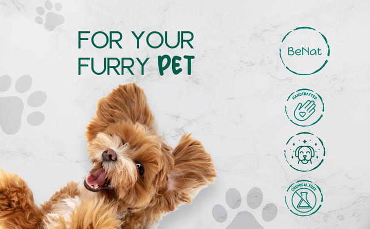 All-natural pet shampoo bar oat for your furry pet graphic with paw icons