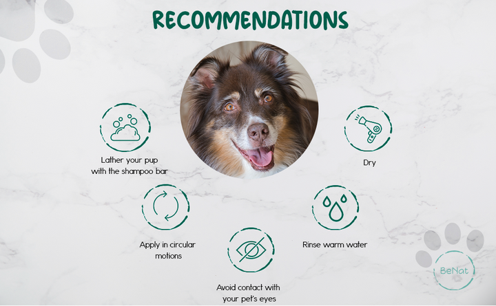 All-natural pet shampoo bar oat usage recommendations graphic with pet care icons