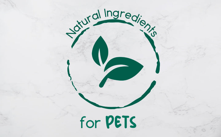 All-natural pet shampoo bar natural ingredients for pets icon graphic with leaf