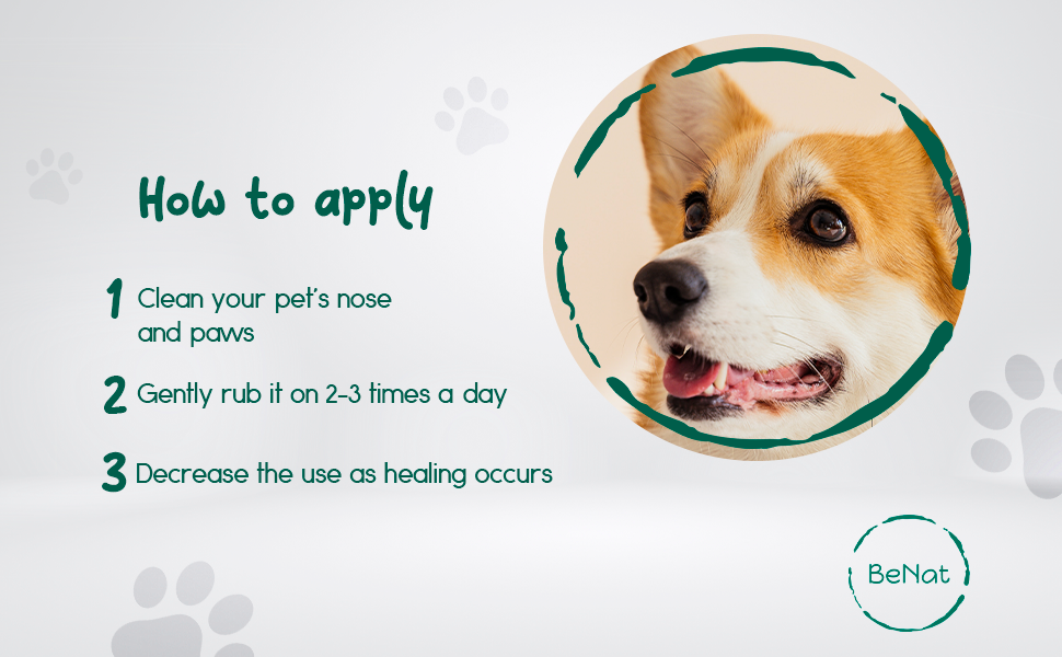 Pet balm application guide graphic with dog photo and step list callouts