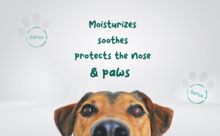 BeNat Pets Furry Pet Balm with dog portrait; moisturizes, soothes, protects nose & paws