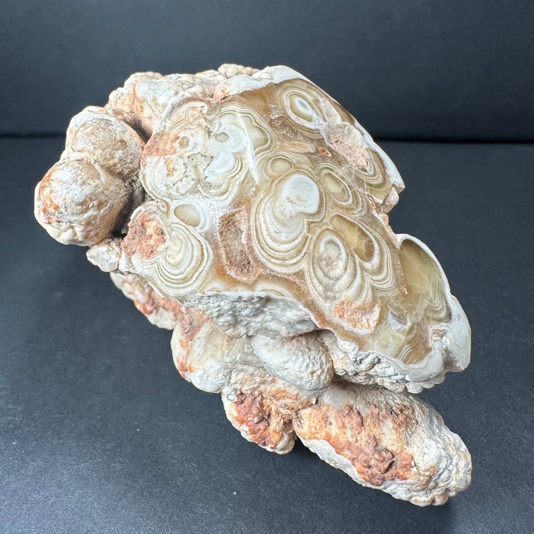 Banded onyx-like stalactite rock with white, tan, and orange swirl patterns