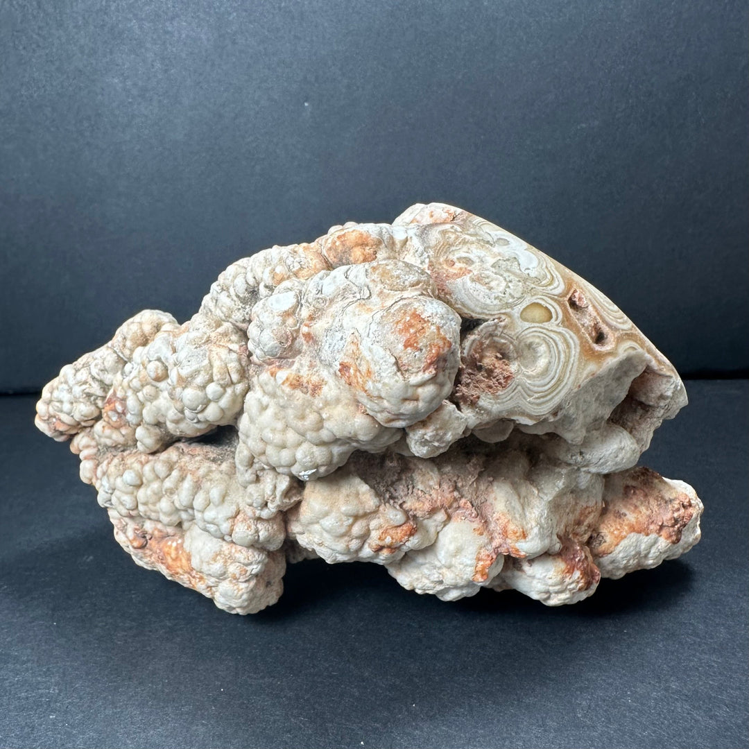 Crystalline stalactite rock with white and tan banded swirls and orange accents
