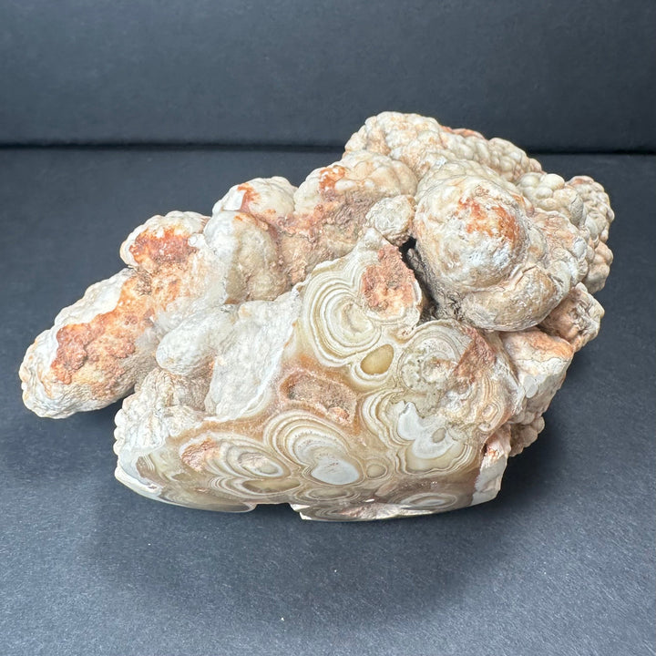 Banded mineral stalactite rock with creamy white base and tan orange marbling