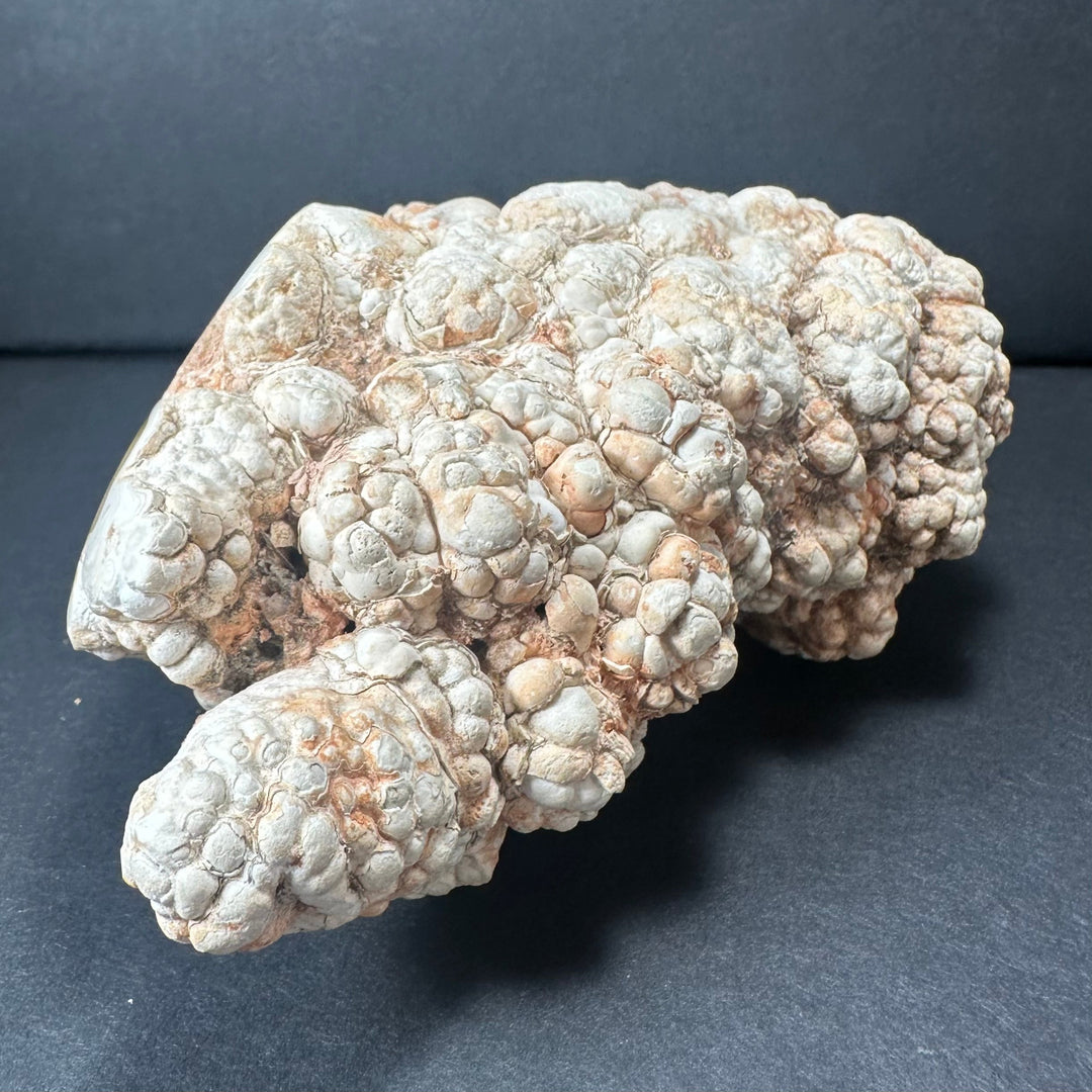 Textured stalactite rock specimen with white, beige, and orange speckled surface