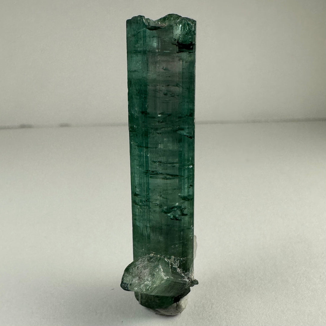 Indicolite Tourmaline with Rubellite mineral specimen, tall green crystal with rough base