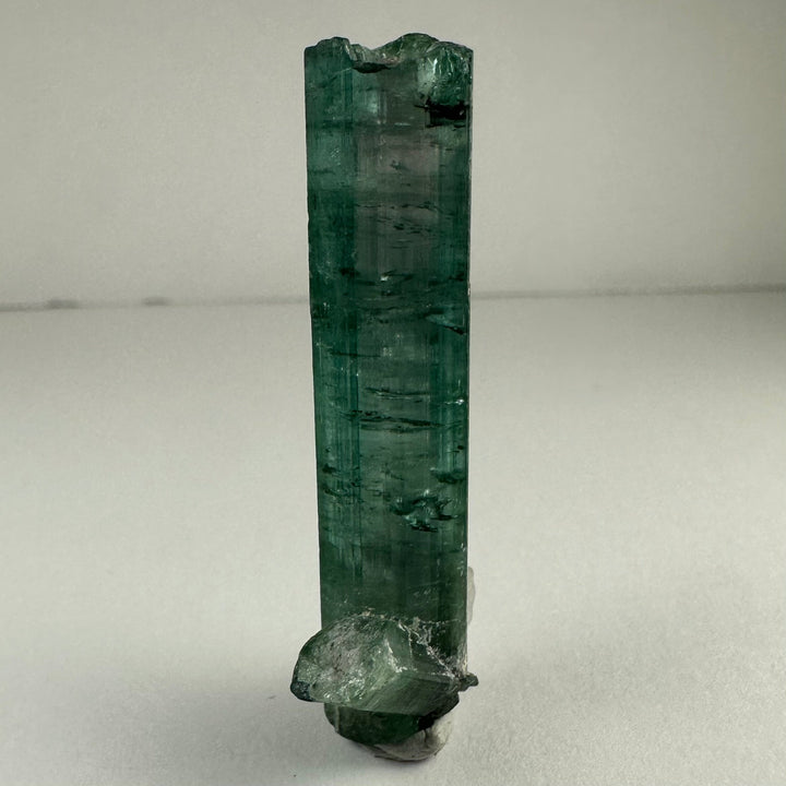 Indicolite Tourmaline with Rubellite mineral specimen, tall green crystal with rough base