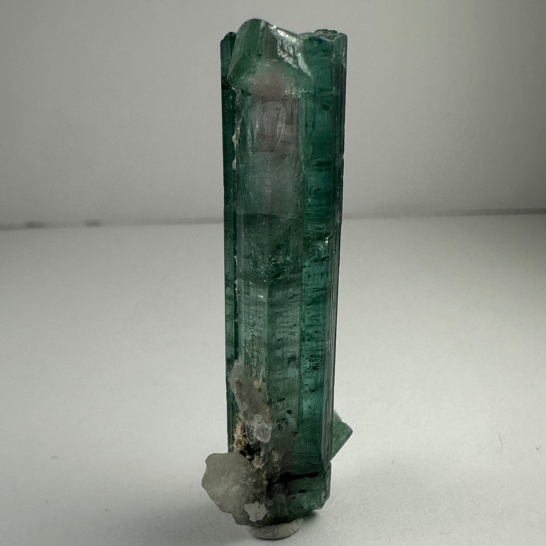 Indicolite Tourmaline with Rubellite mineral specimen, green prismatic crystal on rough matrix