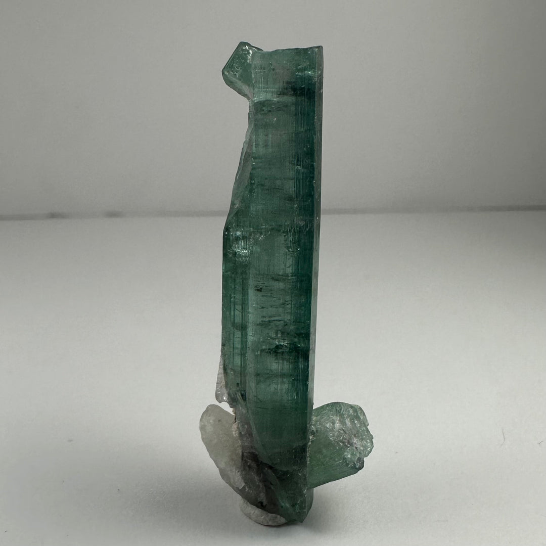 Indicolite Tourmaline with Rubellite mineral specimen, standing green crystal with rough attachment