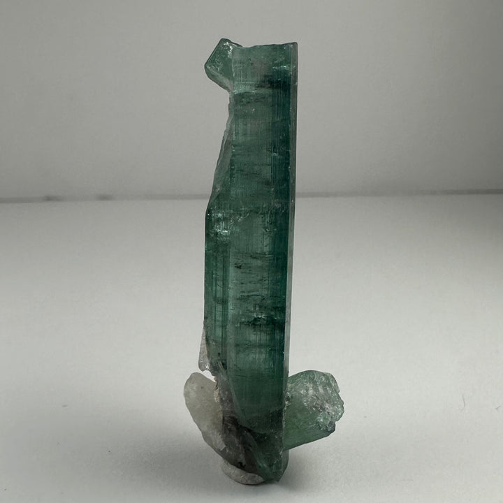 Indicolite Tourmaline with Rubellite mineral specimen, standing green crystal with rough attachment
