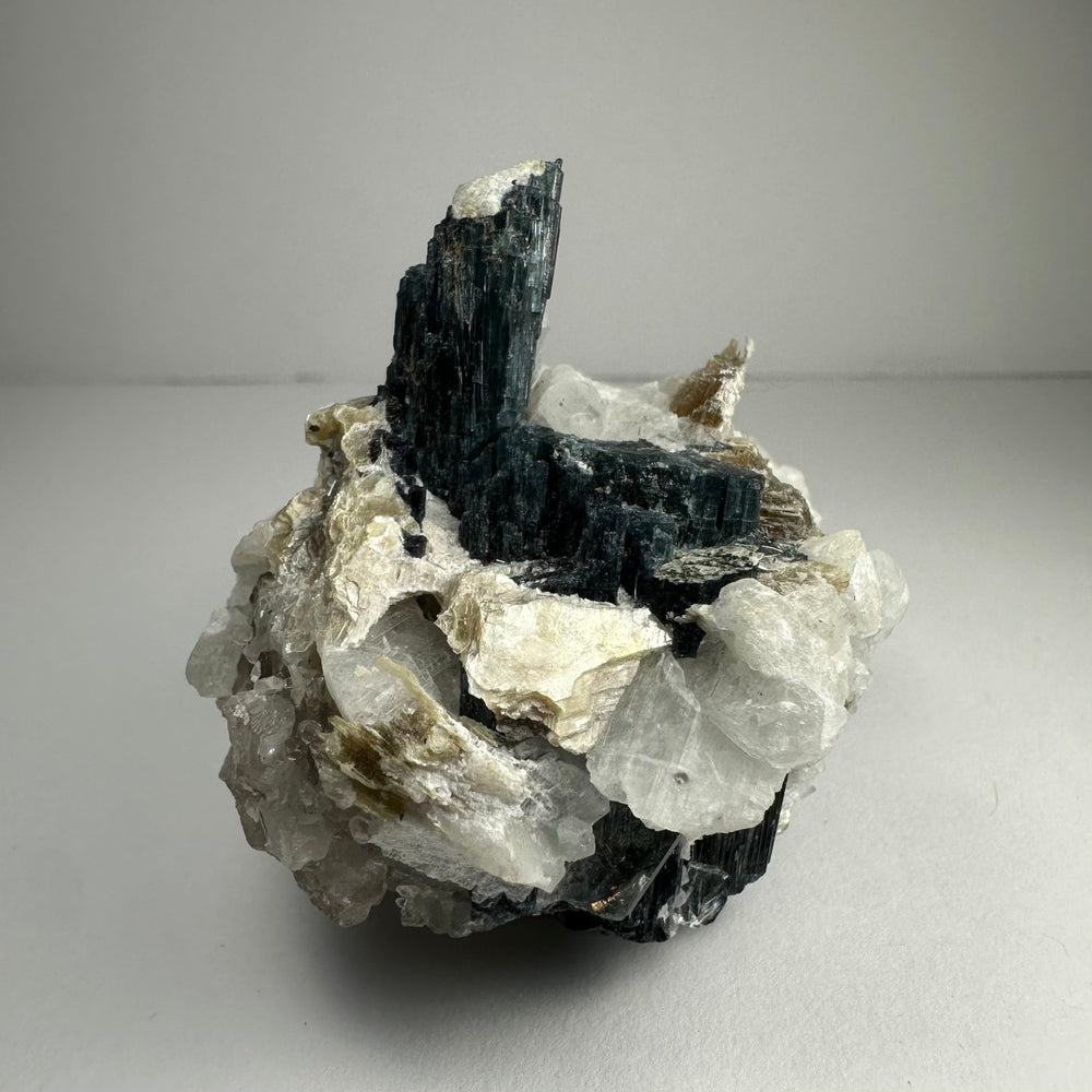 Mineral specimen: dark tourmaline prisms with white quartz and hints of gold mica