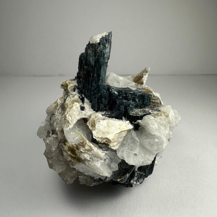 Mineral specimen: dark tourmaline prisms with white quartz and hints of gold mica
