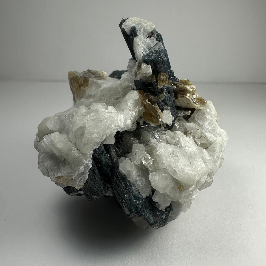 Mineral specimen featuring black tourmaline crystals on white quartz with golden mica