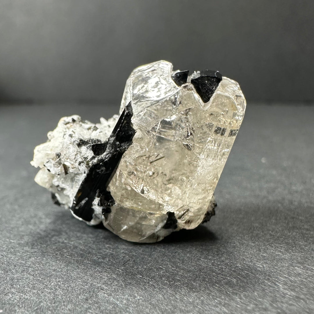 Mineral crystal specimen with clear white quartz crystals and dark black tourmaline pieces.