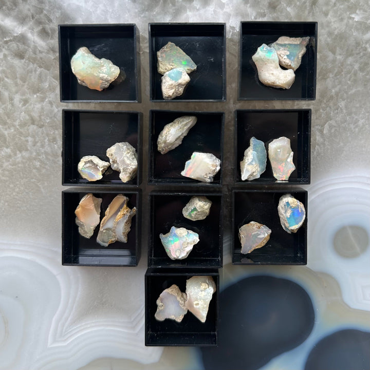 Assorted Welo opal crystal specimens in black square display boxes.