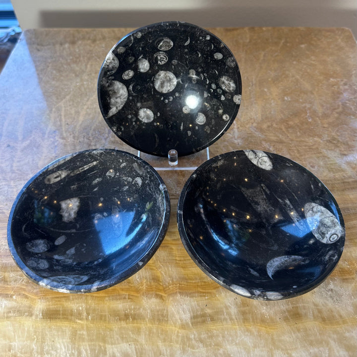 Black limestone fossil bowls with white orthoceras fossil inclusions