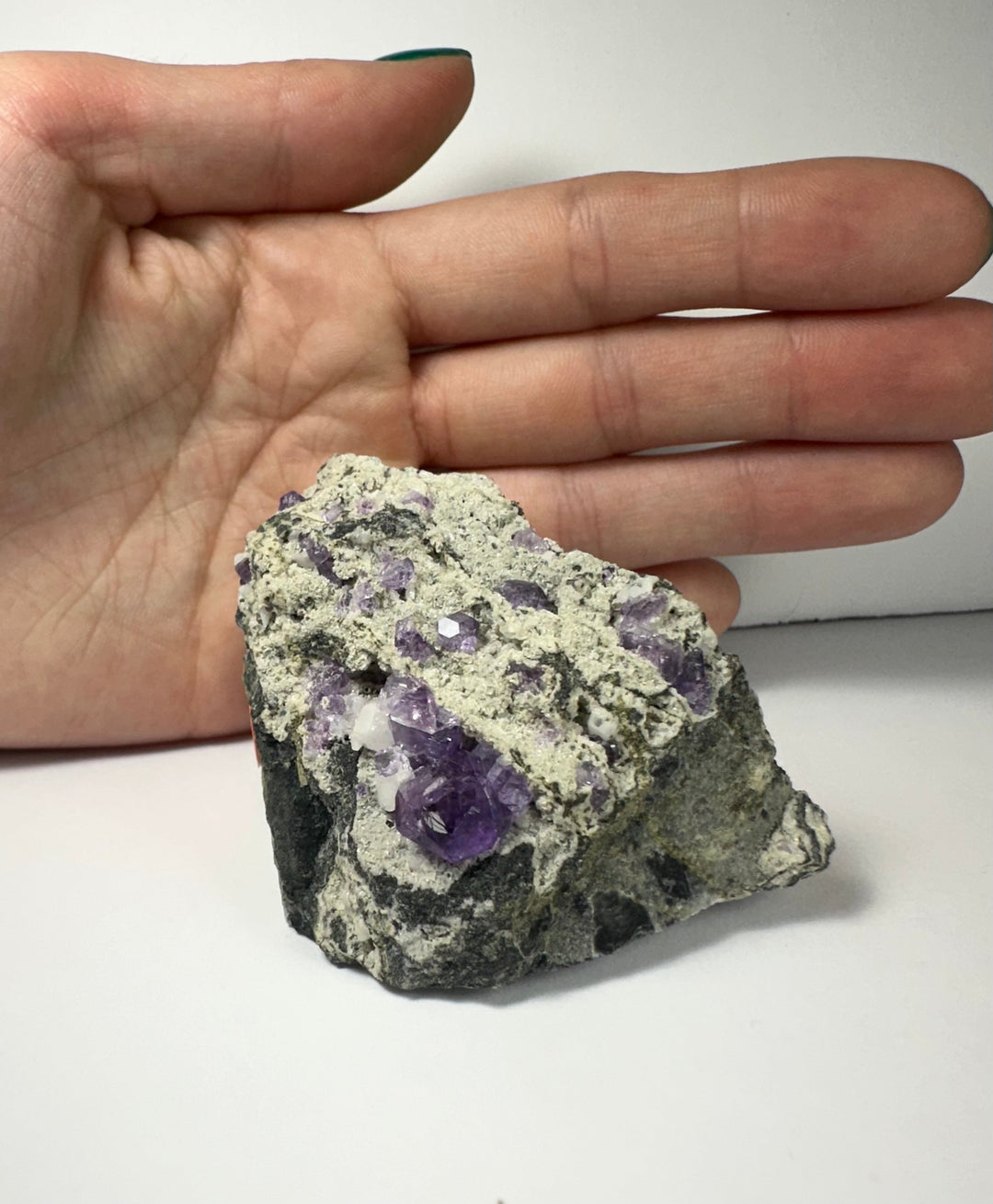 Purple fluorite clusters on gray matrix rock, shown in hand for scale