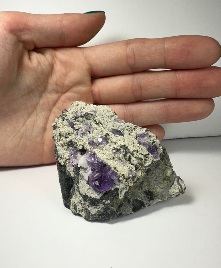 Purple fluorite clusters on gray matrix rock, shown in hand for scale