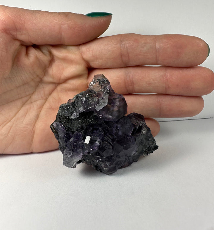Purple fluorite on dark rock matrix, held in open palm for scale