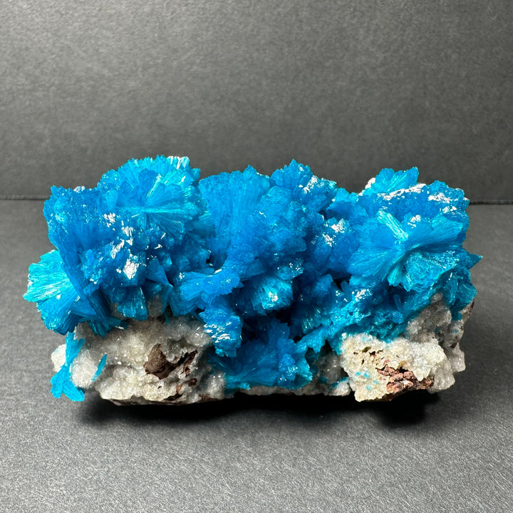 Blue cavansite crystal cluster on light gray rock matrix specimen