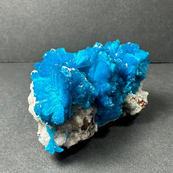 Blue cavansite crystal cluster with light gray rock base mineral specimen