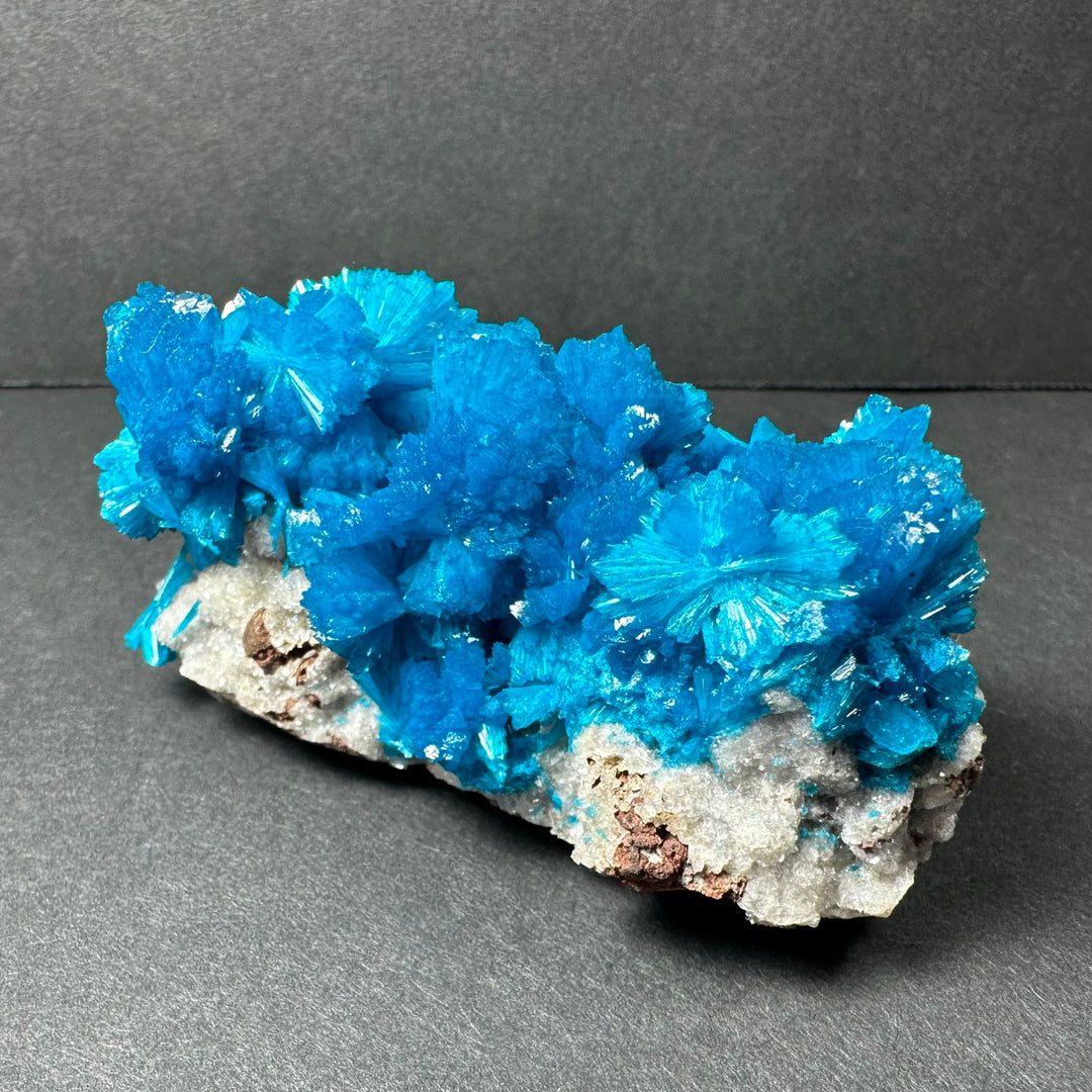 Blue cavansite crystals over gray matrix rock, mineral specimen