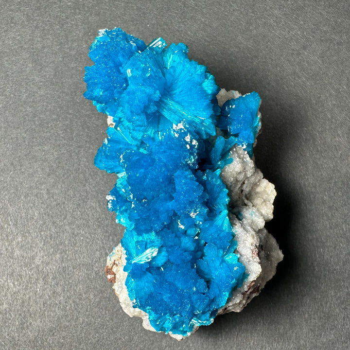 Tall blue cavansite crystal formation on gray rock matrix mineral specimen