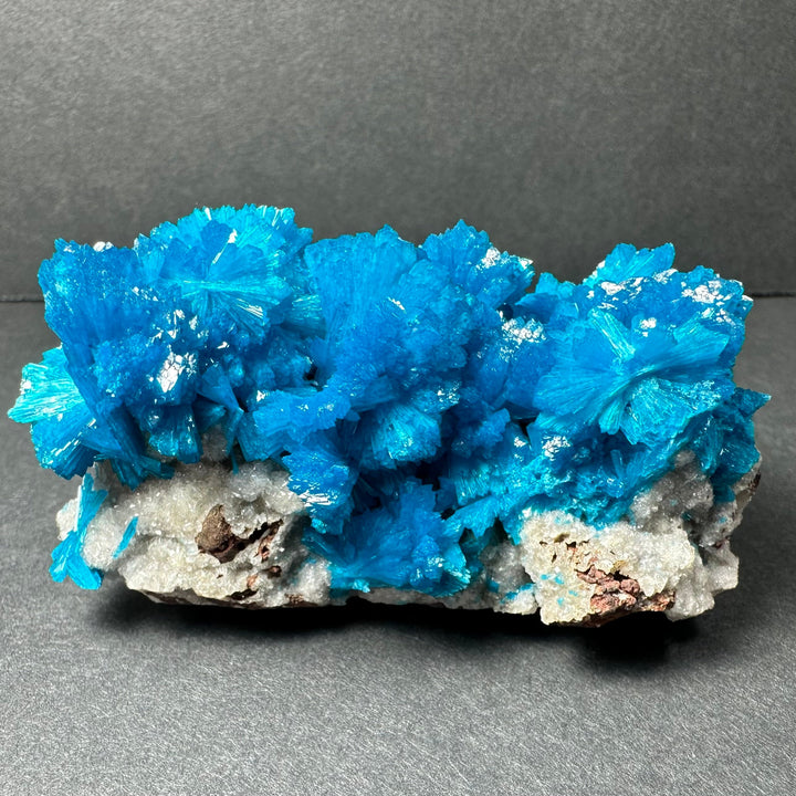 Broad blue cavansite crystal cluster on light gray rock matrix specimen