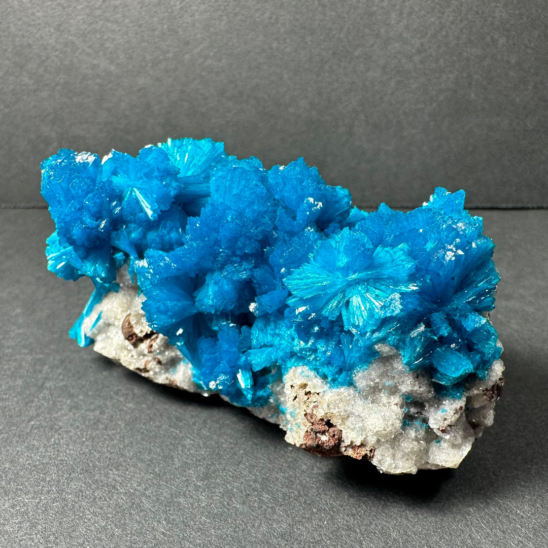 Blue cavansite crystal cluster on gray rock matrix, mineral specimen