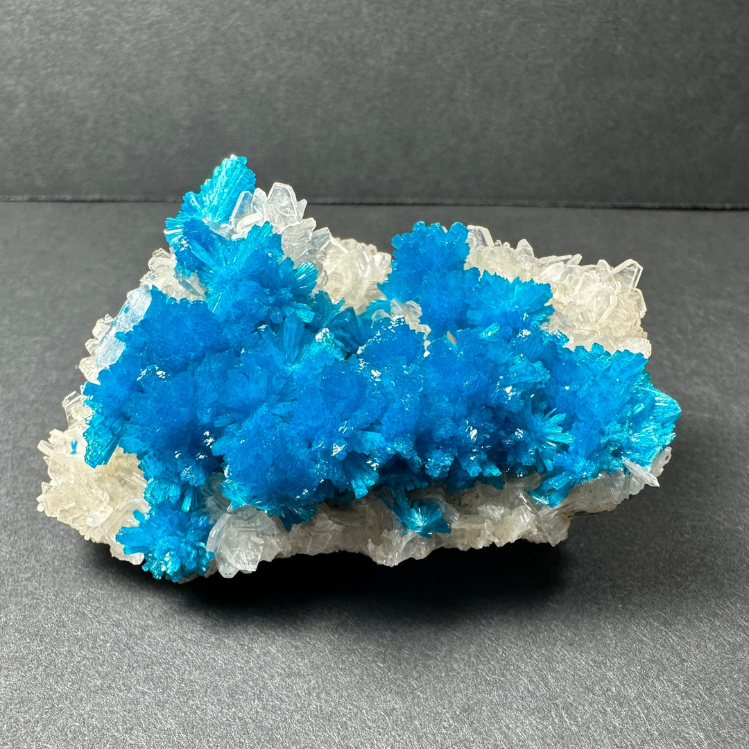 Cavansite and stilbite crystal cluster: vivid blue crystals on white matrix