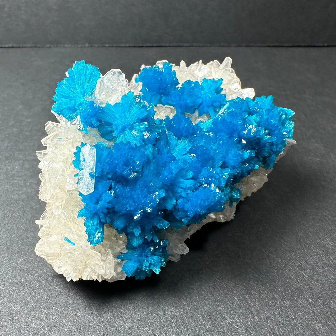 Cavansite and stilbite crystal cluster with dense blue crystal growth, white host