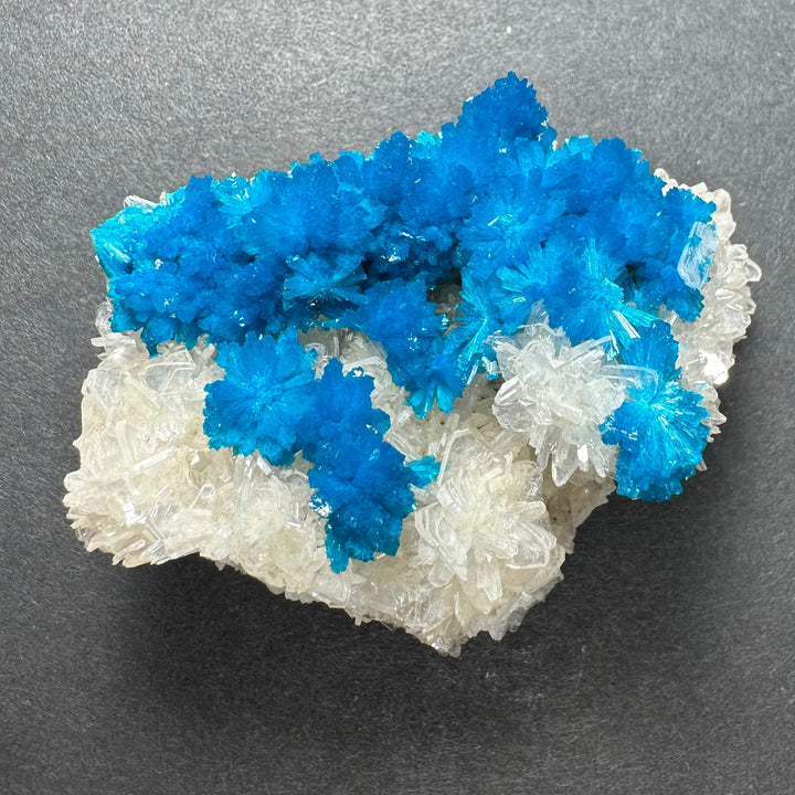Cavansite and stilbite crystal cluster, scattered vivid blue points on white base
