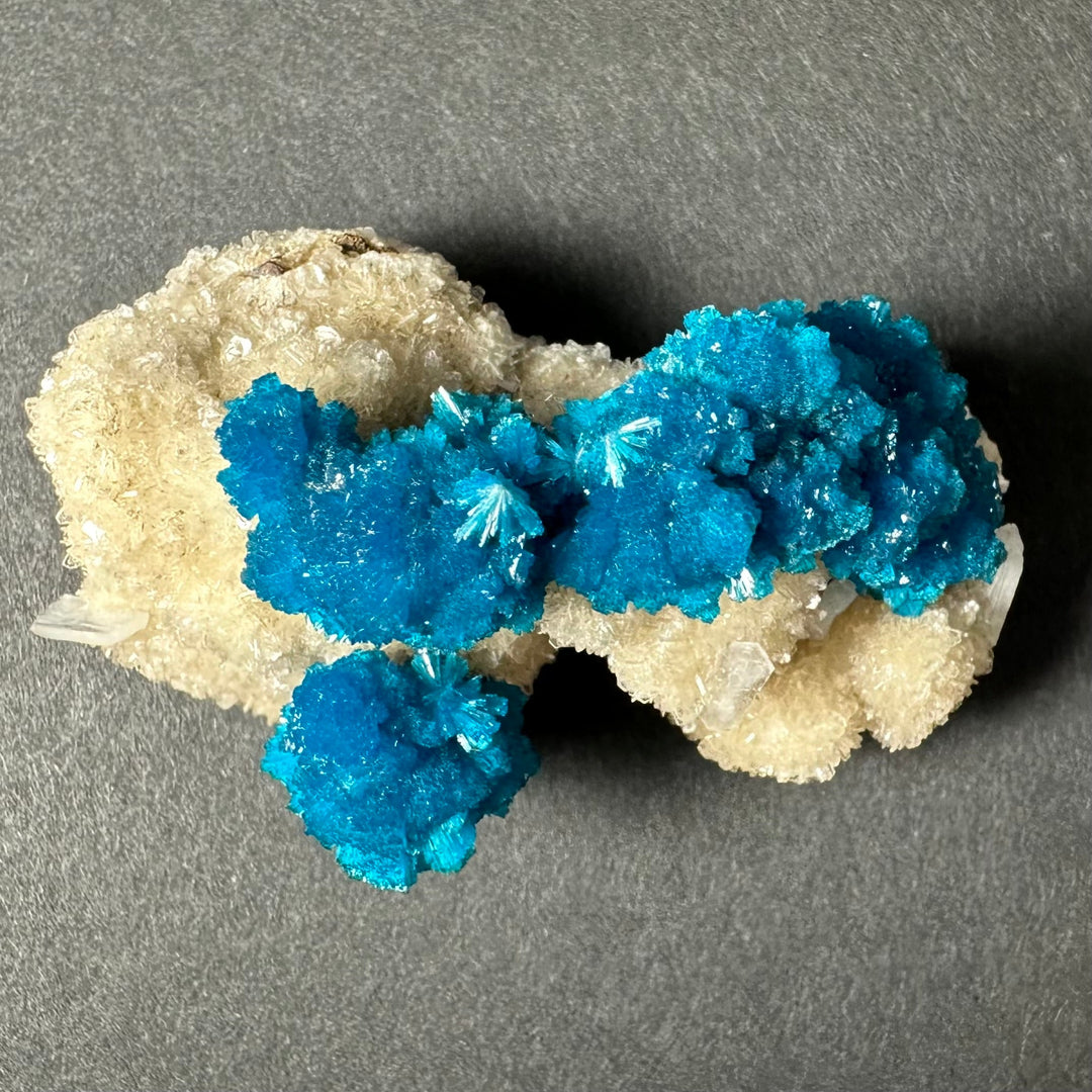 Cavansite and stilbite cluster on pale beige matrix with scattered vivid blue crystals