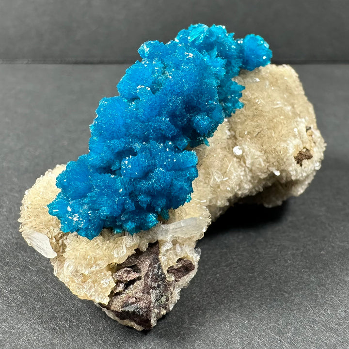 Cavansite and stilbite on beige matrix with vivid blue tops and dark base rocks