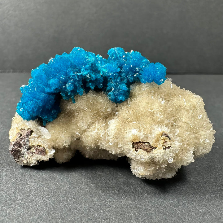 Cavansite and stilbite mineral on beige matrix, dense vivid blue crystal row