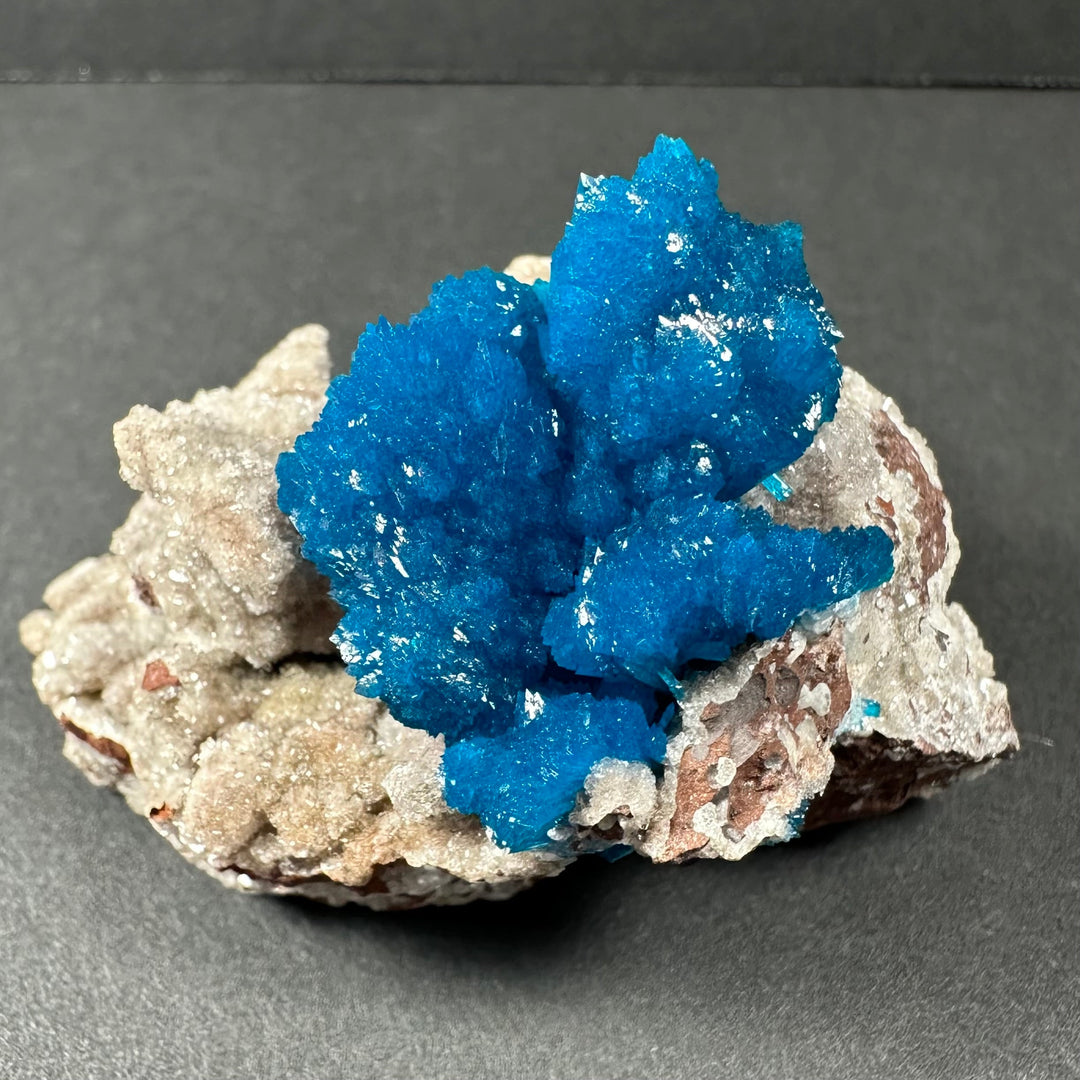 Blue cavansite crystal clusters with white stilbite on light tan rock matrix