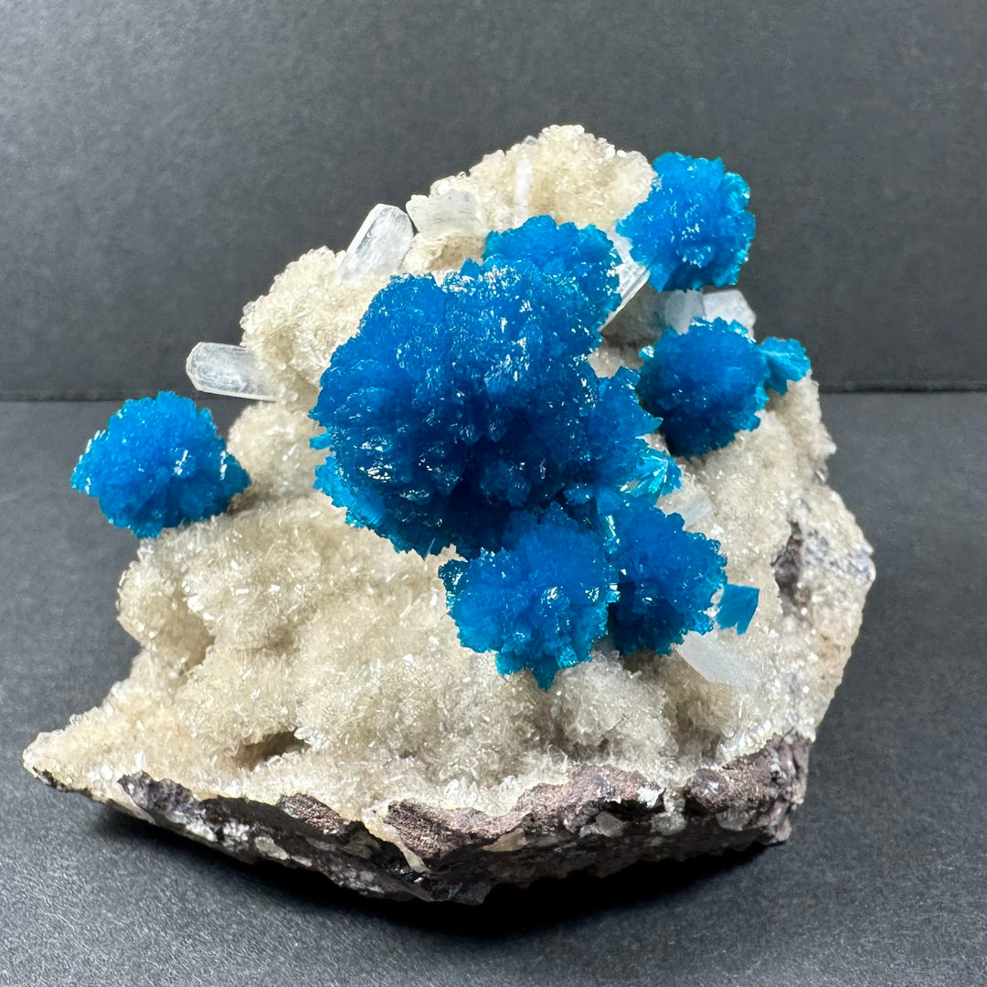 Cavansite and stilbite specimen with vivid blue crystals on pale white matrix