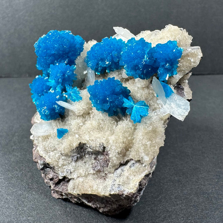 Cavansite and stilbite specimen with dense vivid blue crystals over white matrix