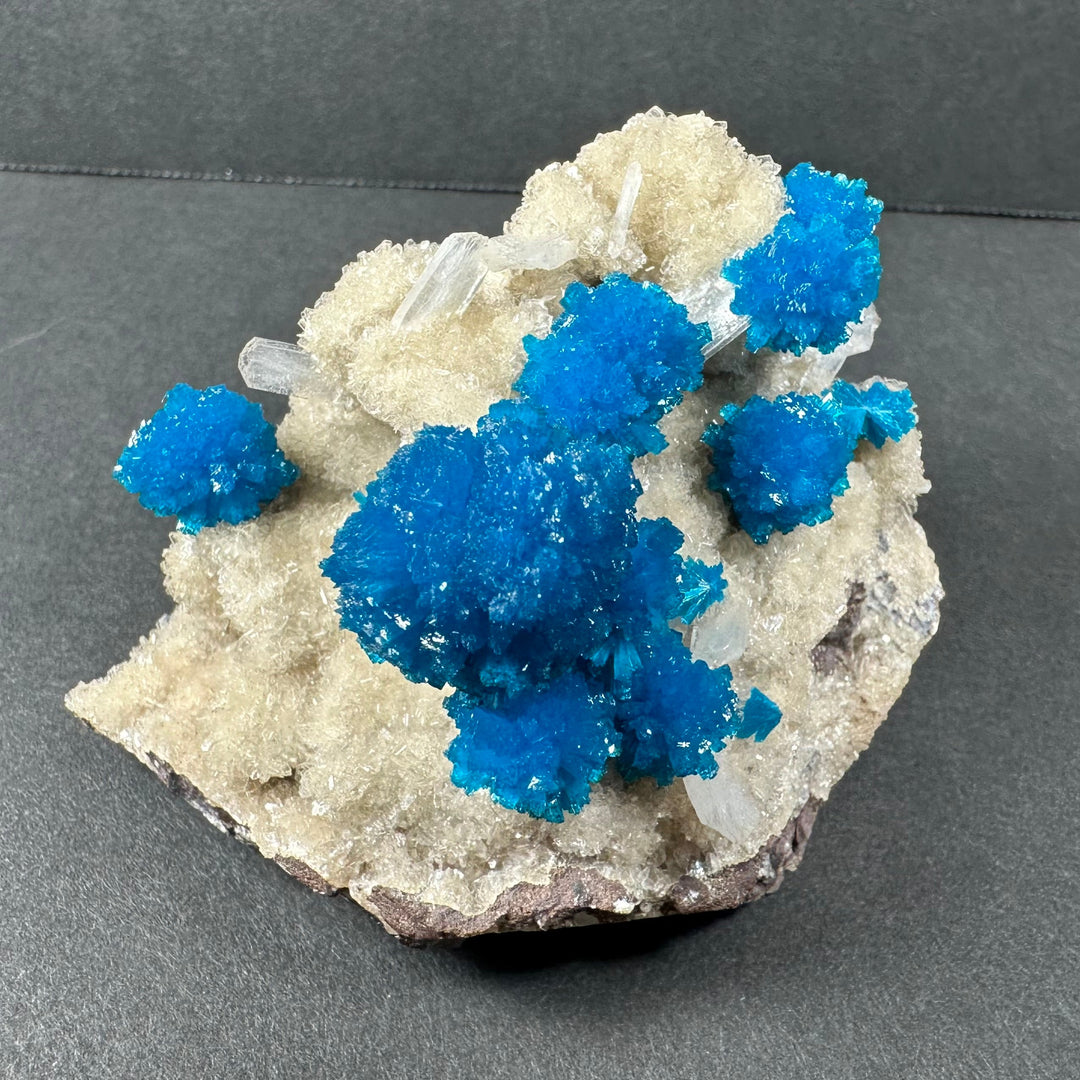 Mineral specimen with large vivid blue crystal cluster on white crystalline rock