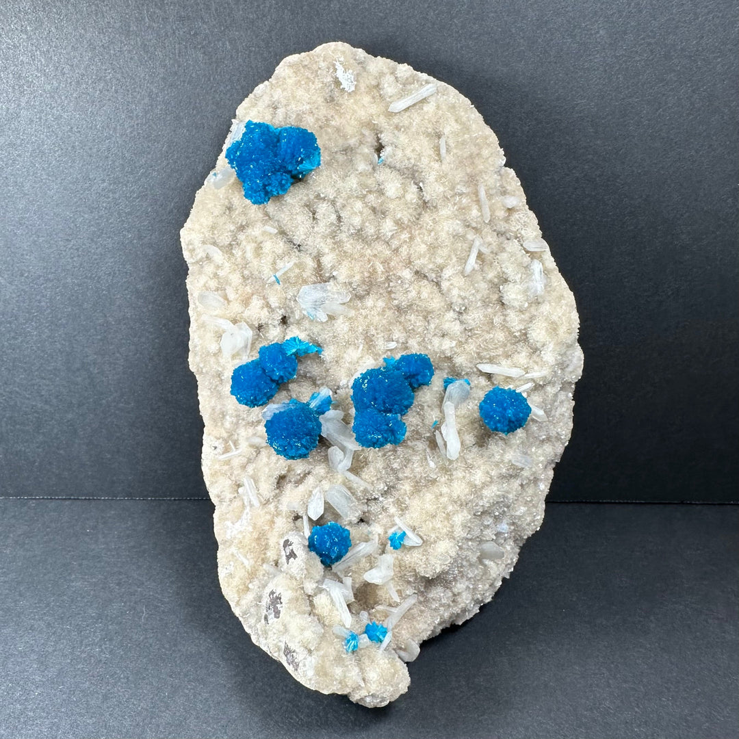 Cavansite and stilbite on pale matrix rock with bright blue crystal clusters