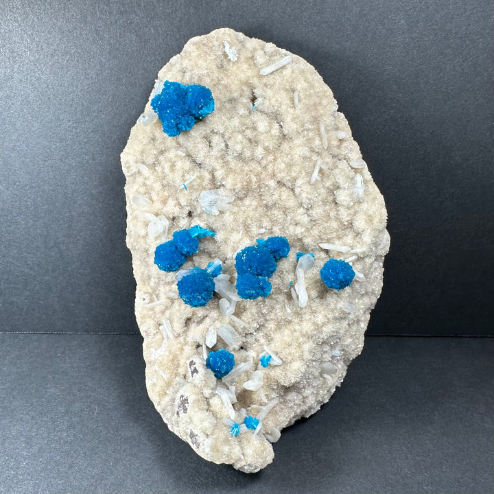 Cavansite and stilbite on pale matrix rock with bright blue crystal clusters