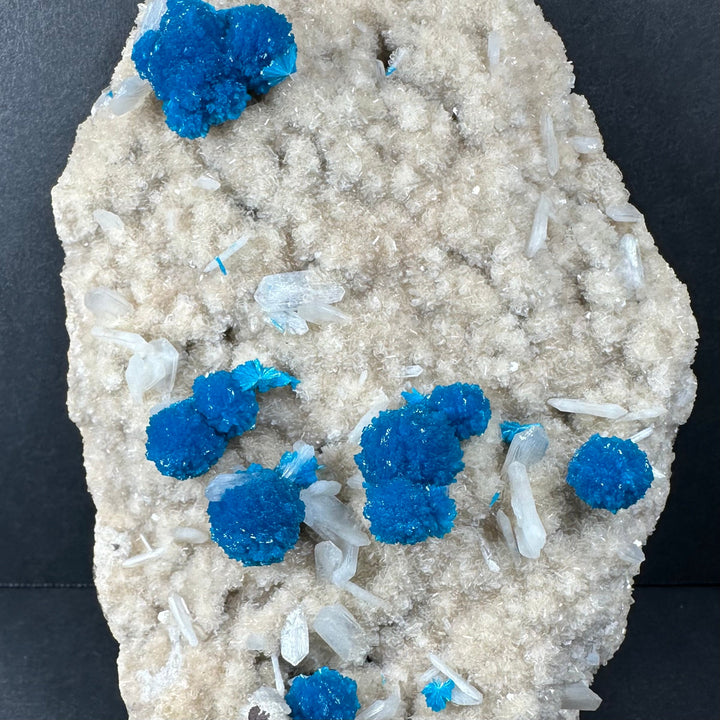 Cavansite and stilbite on matrix, close-up of vivid blue crystals and clear prisms